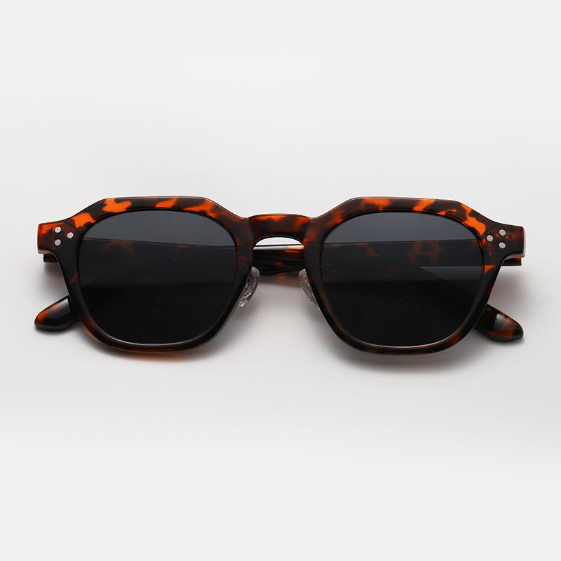 2026 New Retro American Punk Polygon TR90 Polarized Unisex Cross-border Sunglasses 图3